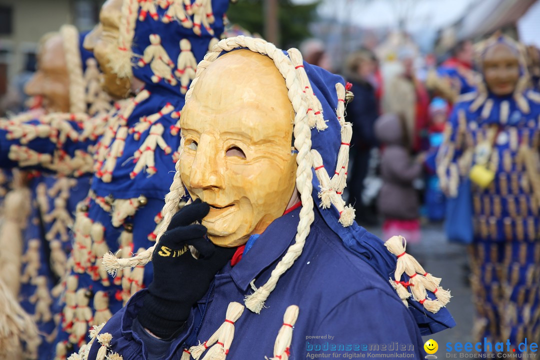 Fasnachtsumzug und Narrentage: Welschingen, 24.01.2016