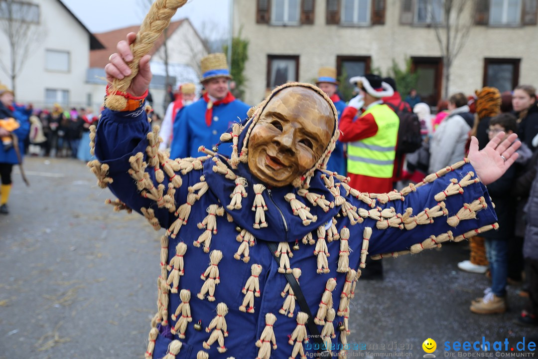 Fasnachtsumzug und Narrentage: Welschingen, 24.01.2016