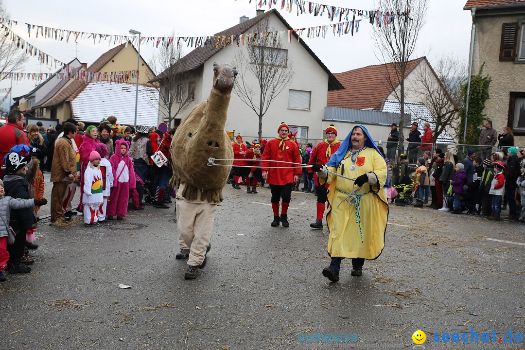 Fasnachtsumzug und Narrentage: Welschingen, 24.01.2016