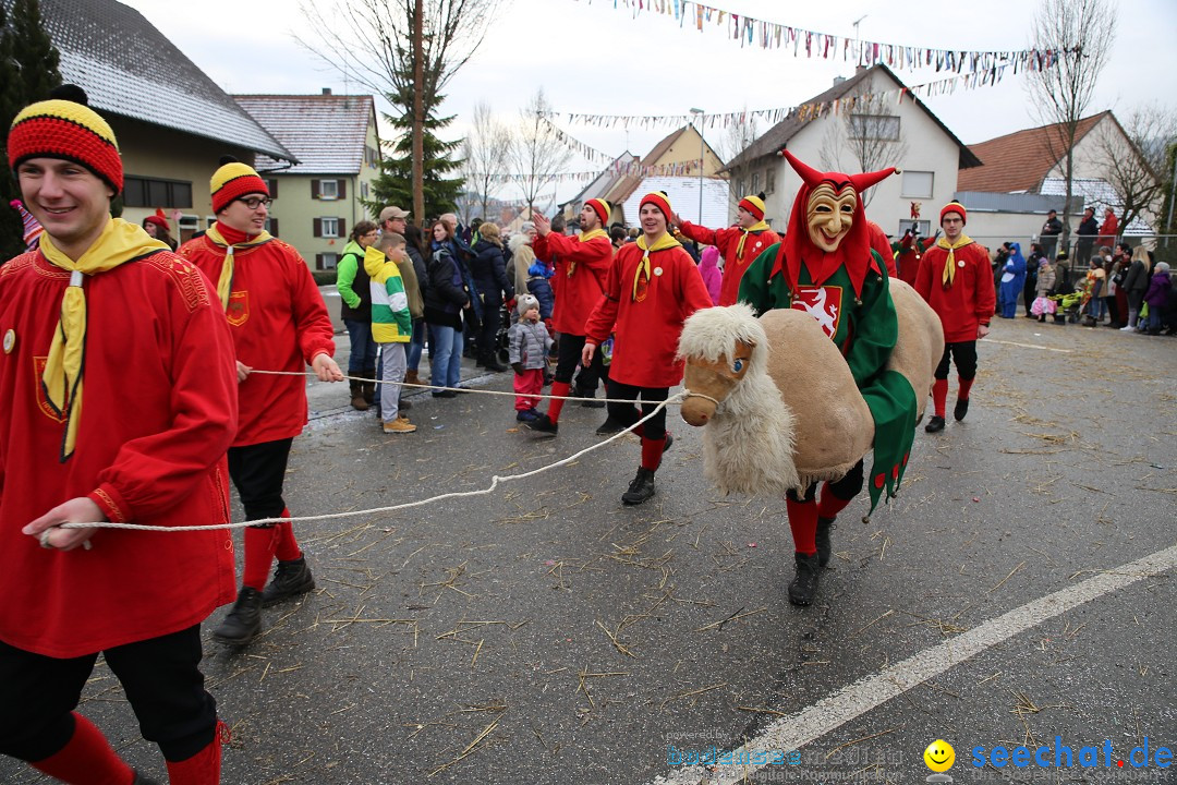 Fasnachtsumzug und Narrentage: Welschingen, 24.01.2016