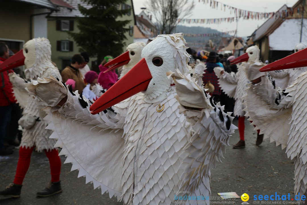 Fasnachtsumzug und Narrentage: Welschingen, 24.01.2016