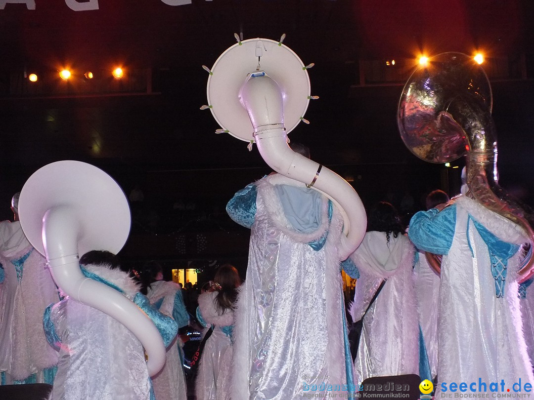 Bandscheibenball 2016: Bad Buchau am Bodensee, 29.01.2016