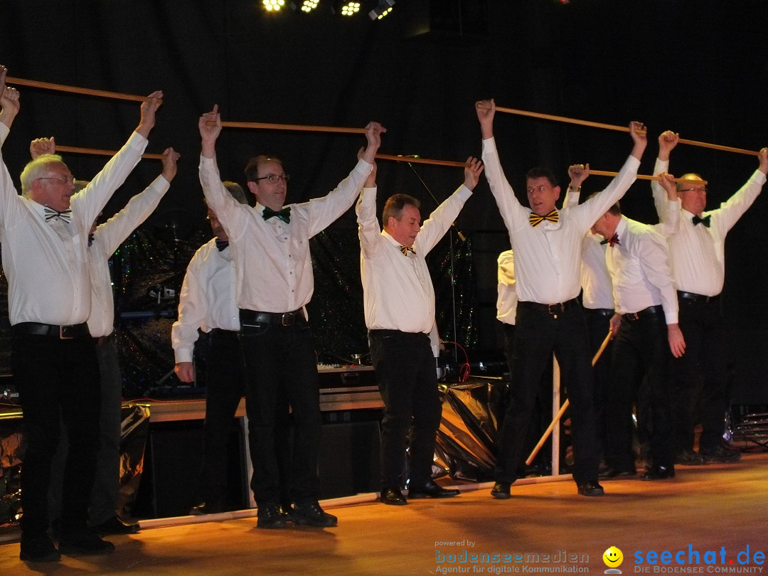 Bandscheibenball 2016: Bad Buchau am Bodensee, 29.01.2016