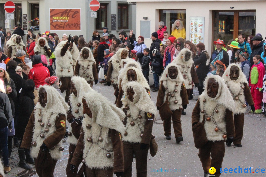 Rosenmontags-Umzug: Ravensburg am Bodensee, 08.02.2016