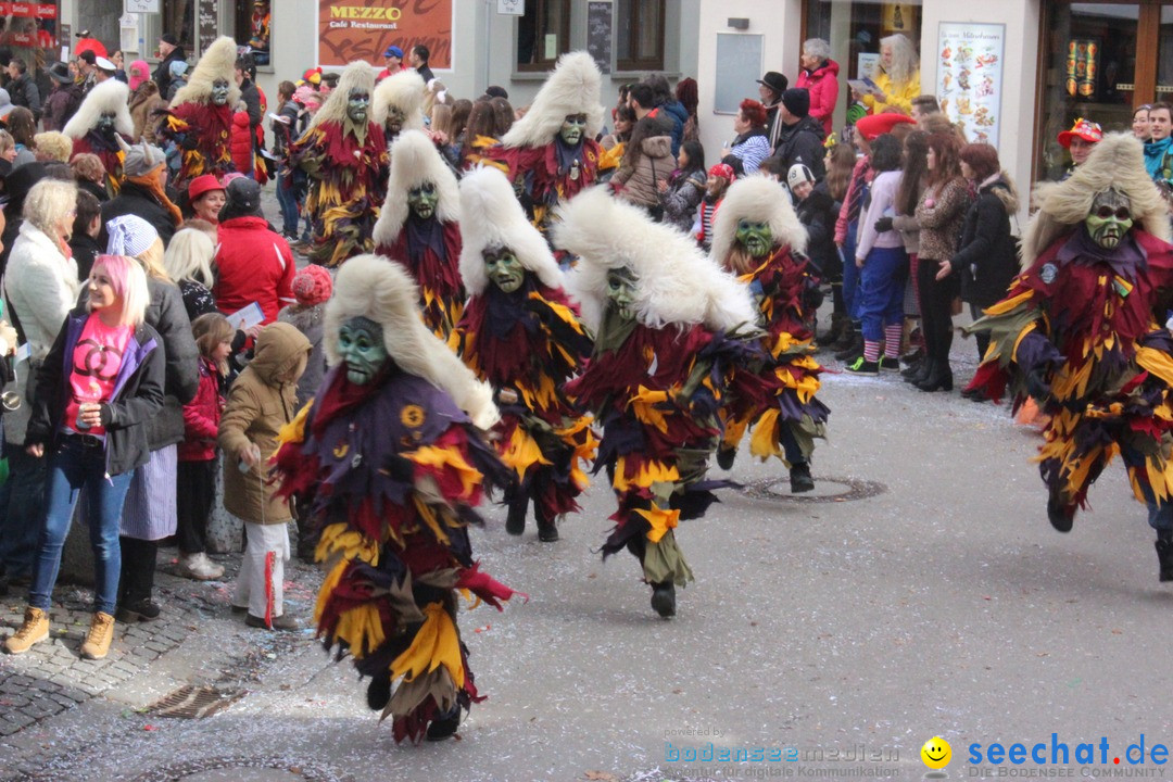 Rosenmontags-Umzug: Ravensburg am Bodensee, 08.02.2016