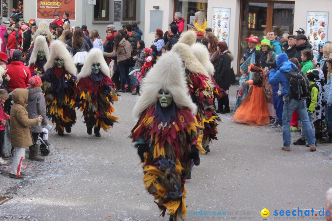 Rosenmontags-Umzug: Ravensburg am Bodensee, 08.02.2016