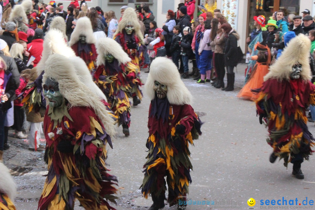 Rosenmontags-Umzug: Ravensburg am Bodensee, 08.02.2016