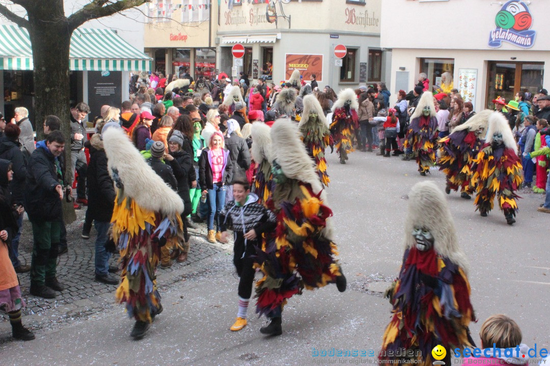 Rosenmontags-Umzug: Ravensburg am Bodensee, 08.02.2016