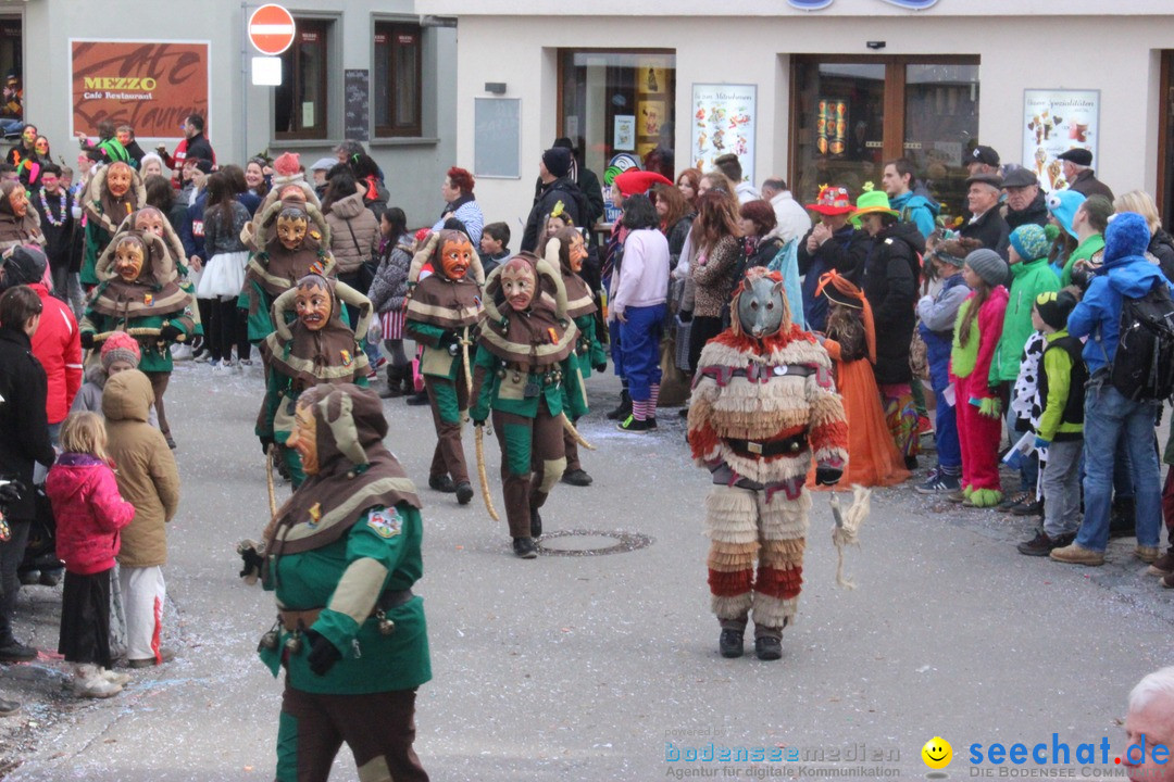 Rosenmontags-Umzug: Ravensburg am Bodensee, 08.02.2016