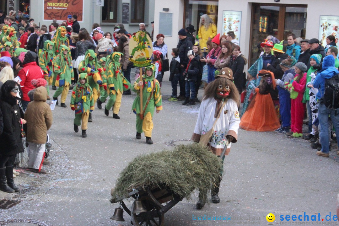 Rosenmontags-Umzug: Ravensburg am Bodensee, 08.02.2016