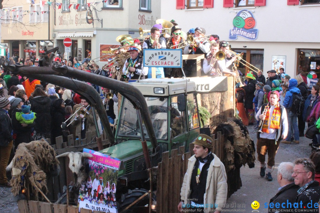 Rosenmontags-Umzug: Ravensburg am Bodensee, 08.02.2016