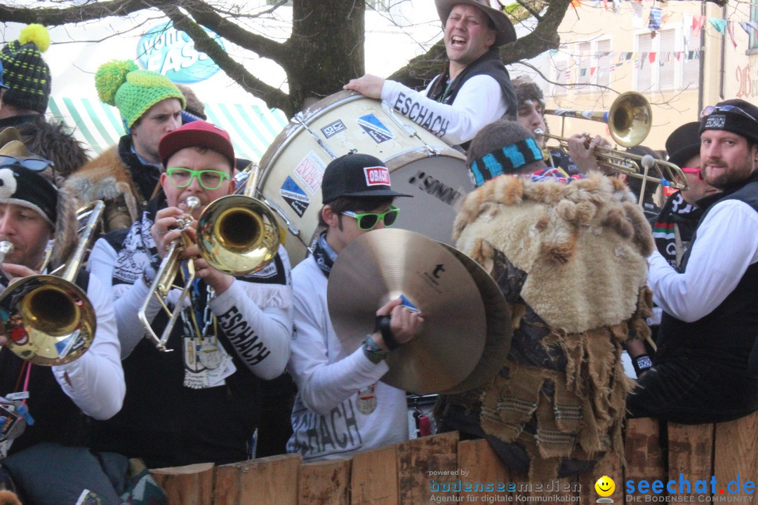 Rosenmontags-Umzug: Ravensburg am Bodensee, 08.02.2016