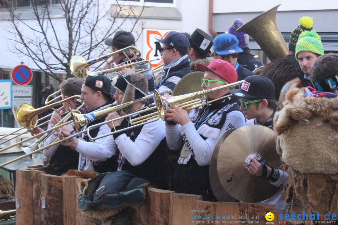 Rosenmontags-Umzug: Ravensburg am Bodensee, 08.02.2016