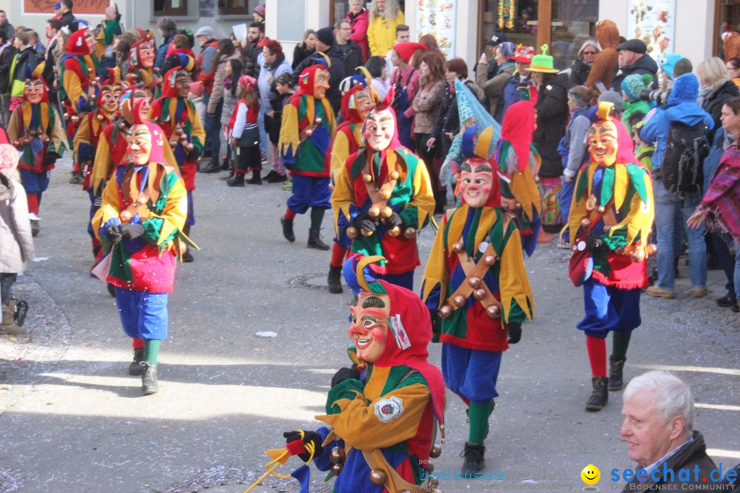 Rosenmontags-Umzug: Ravensburg am Bodensee, 08.02.2016