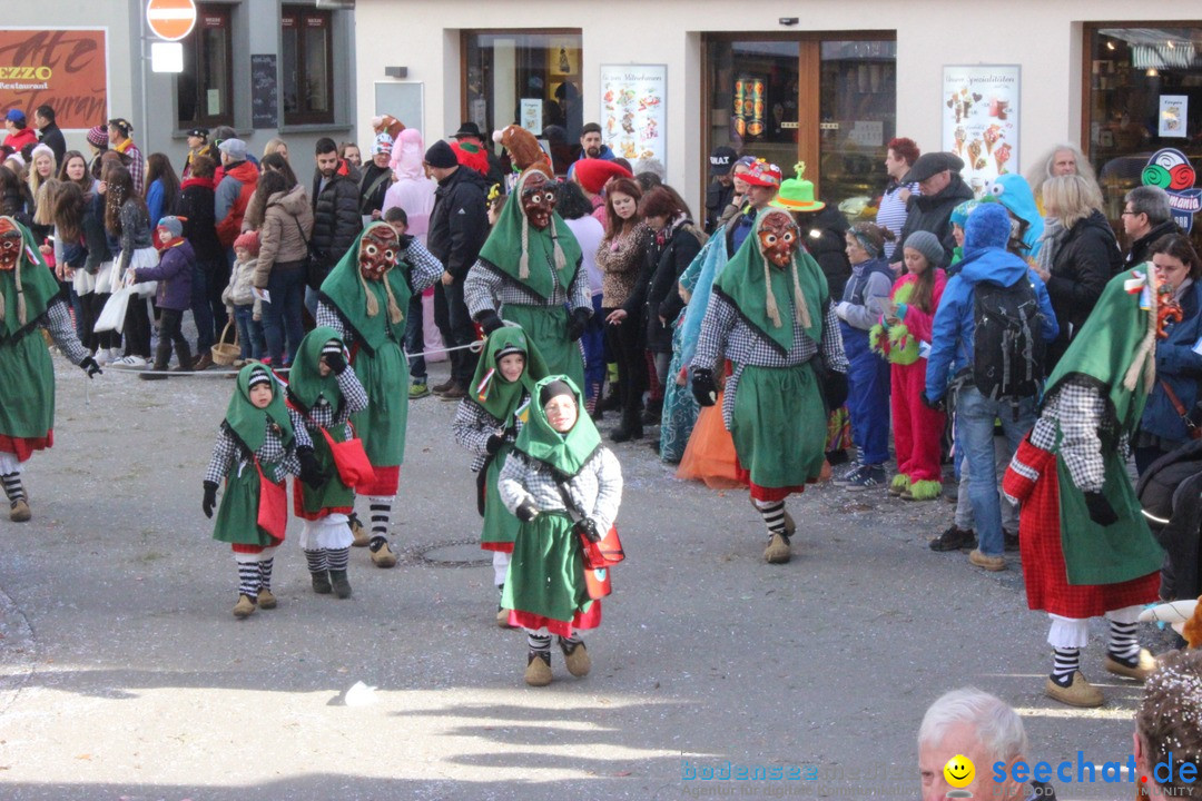 Rosenmontags-Umzug: Ravensburg am Bodensee, 08.02.2016