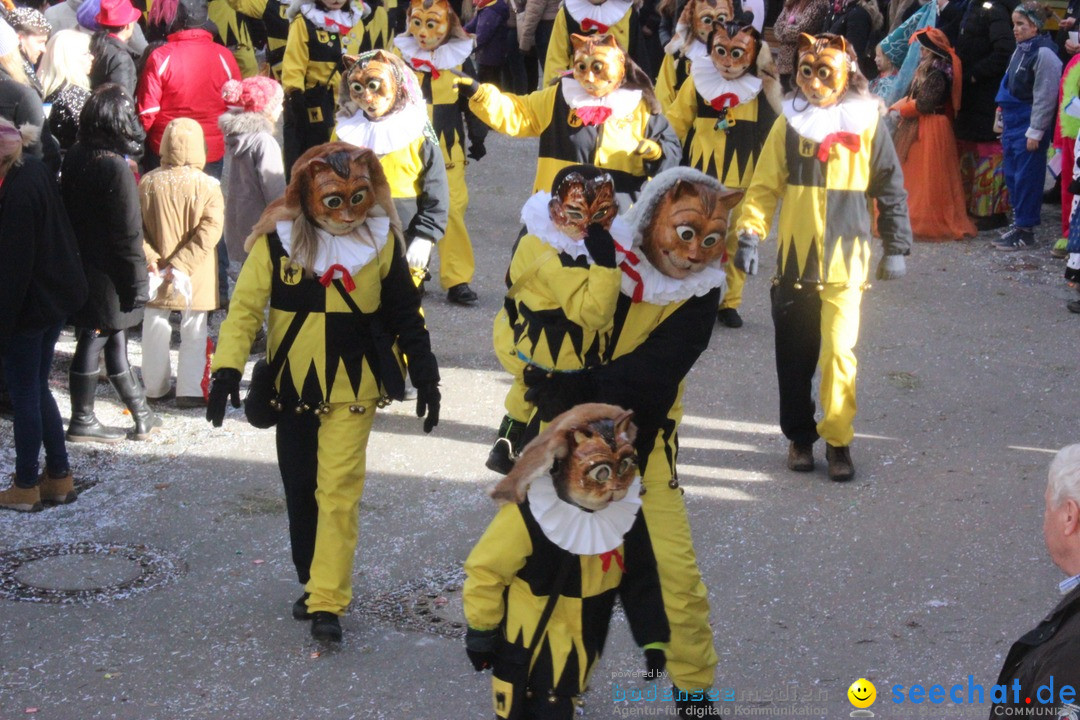 Rosenmontags-Umzug: Ravensburg am Bodensee, 08.02.2016