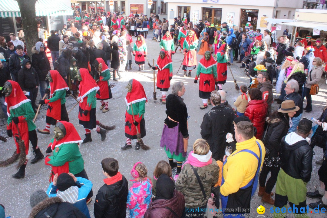 Rosenmontags-Umzug: Ravensburg am Bodensee, 08.02.2016