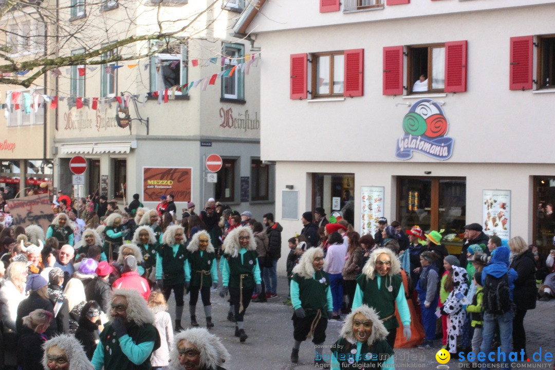 Rosenmontags-Umzug: Ravensburg am Bodensee, 08.02.2016