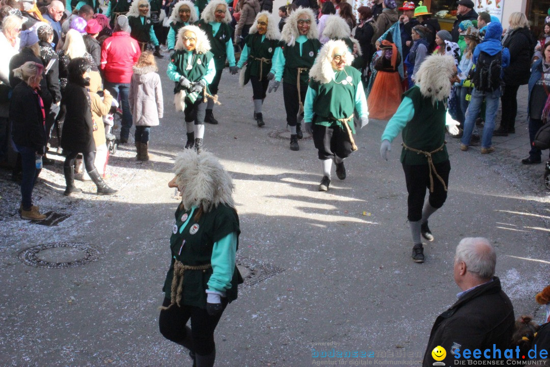 Rosenmontags-Umzug: Ravensburg am Bodensee, 08.02.2016