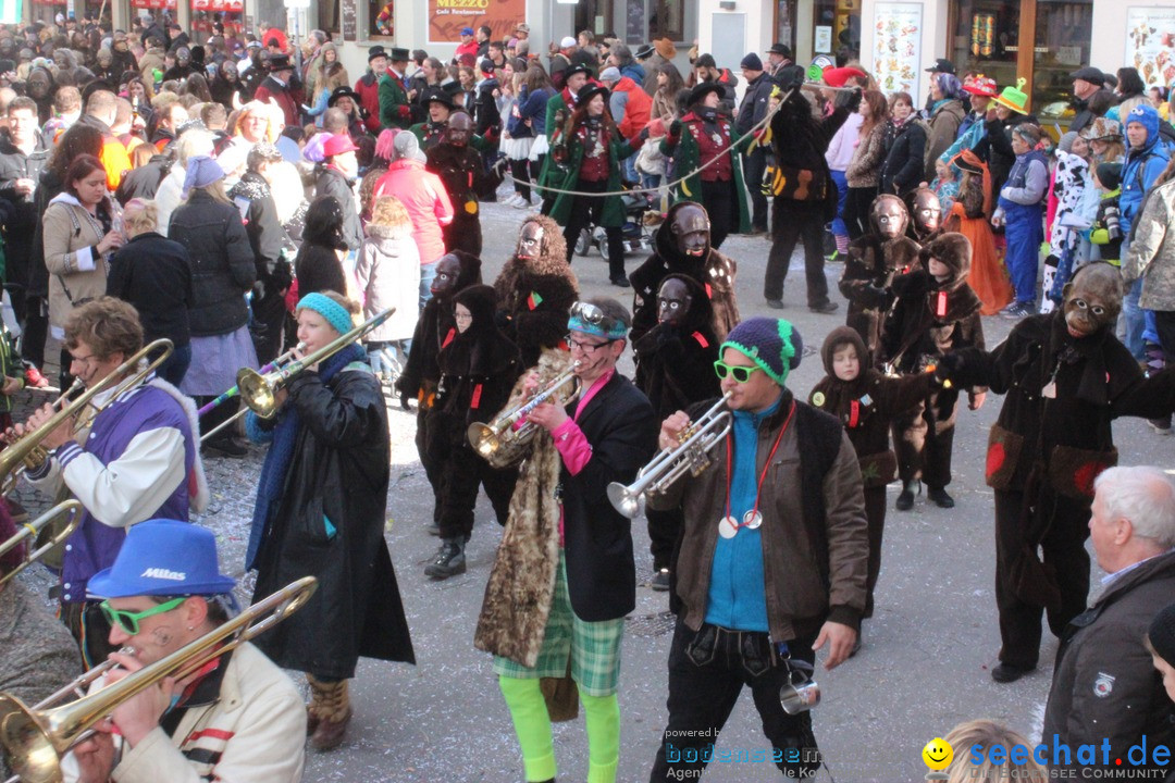 Rosenmontags-Umzug: Ravensburg am Bodensee, 08.02.2016