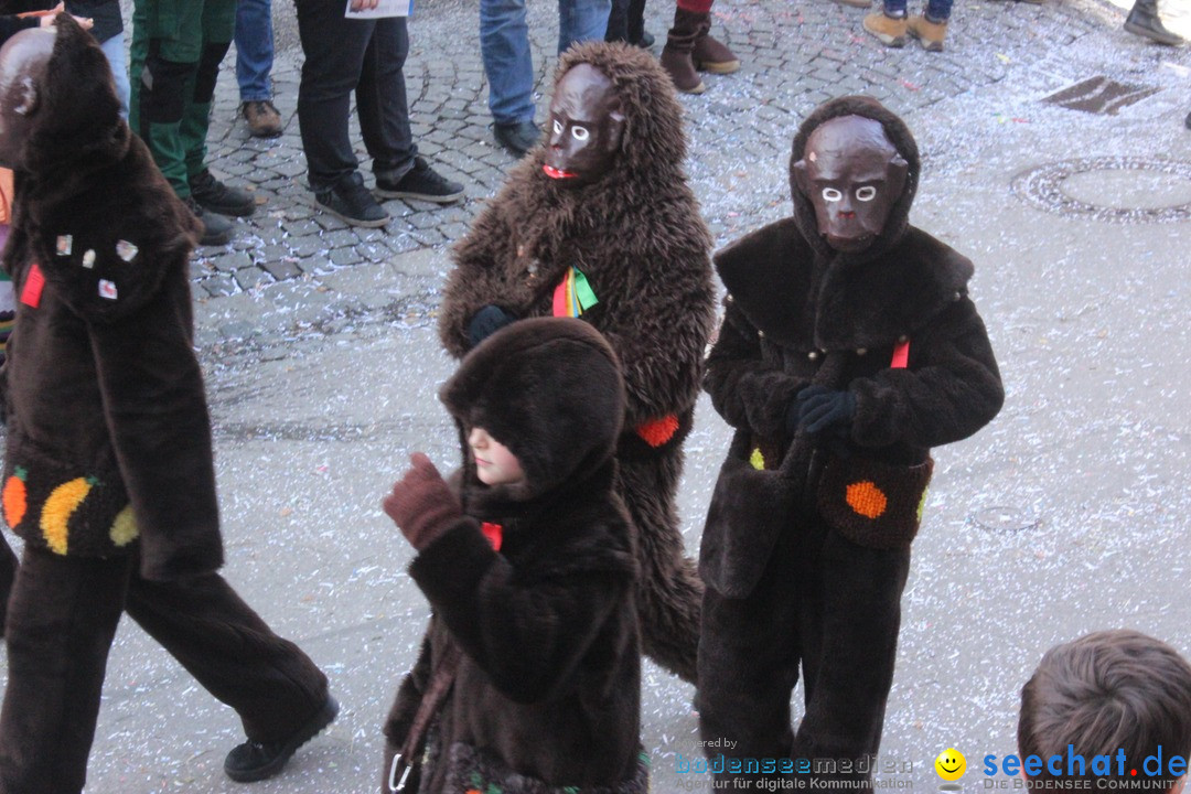 Rosenmontags-Umzug: Ravensburg am Bodensee, 08.02.2016