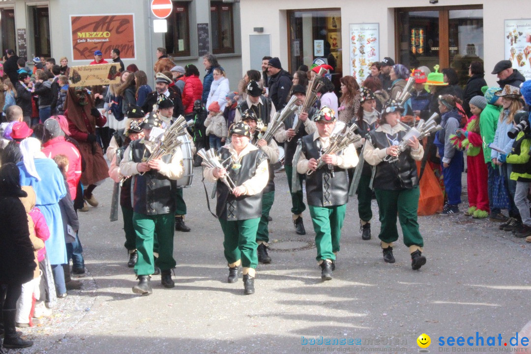 Rosenmontags-Umzug: Ravensburg am Bodensee, 08.02.2016