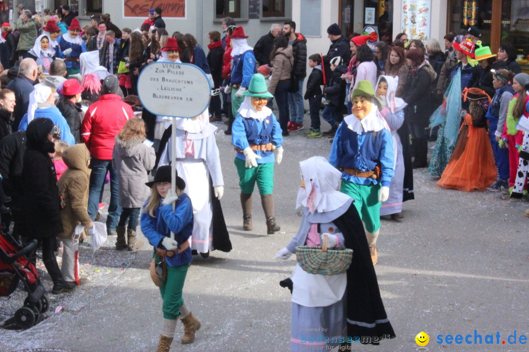 Rosenmontags-Umzug: Ravensburg am Bodensee, 08.02.2016