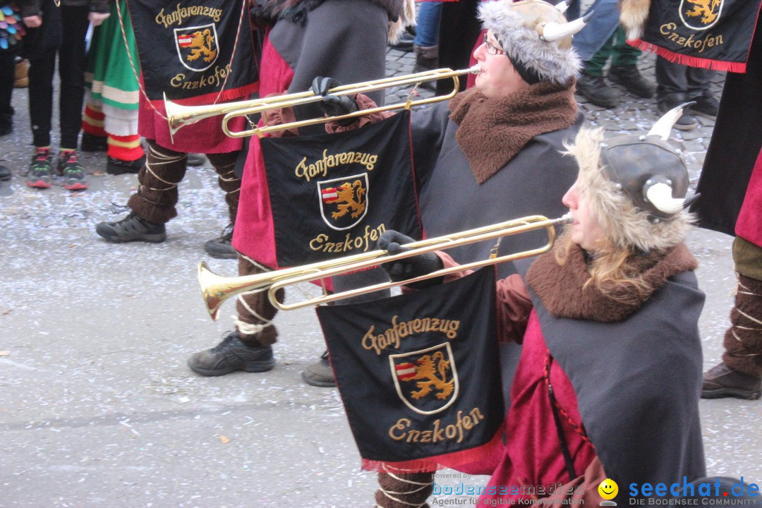 Rosenmontags-Umzug: Ravensburg am Bodensee, 08.02.2016