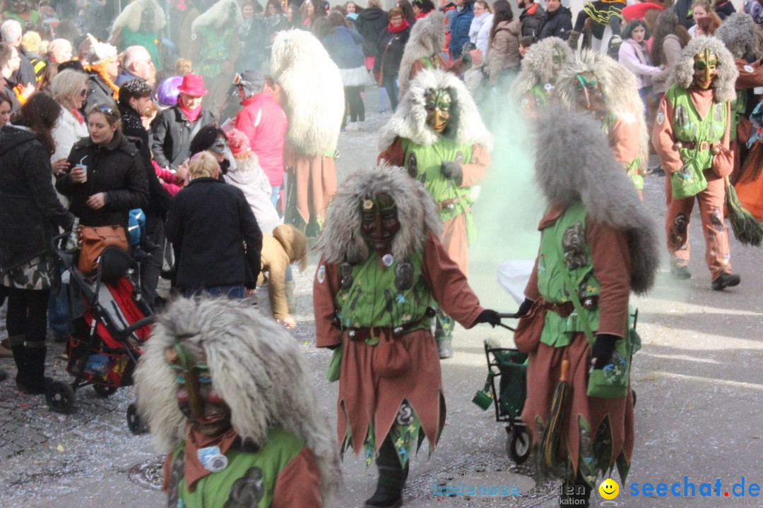 Rosenmontags-Umzug: Ravensburg am Bodensee, 08.02.2016