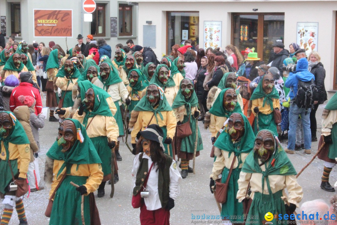 Rosenmontags-Umzug: Ravensburg am Bodensee, 08.02.2016