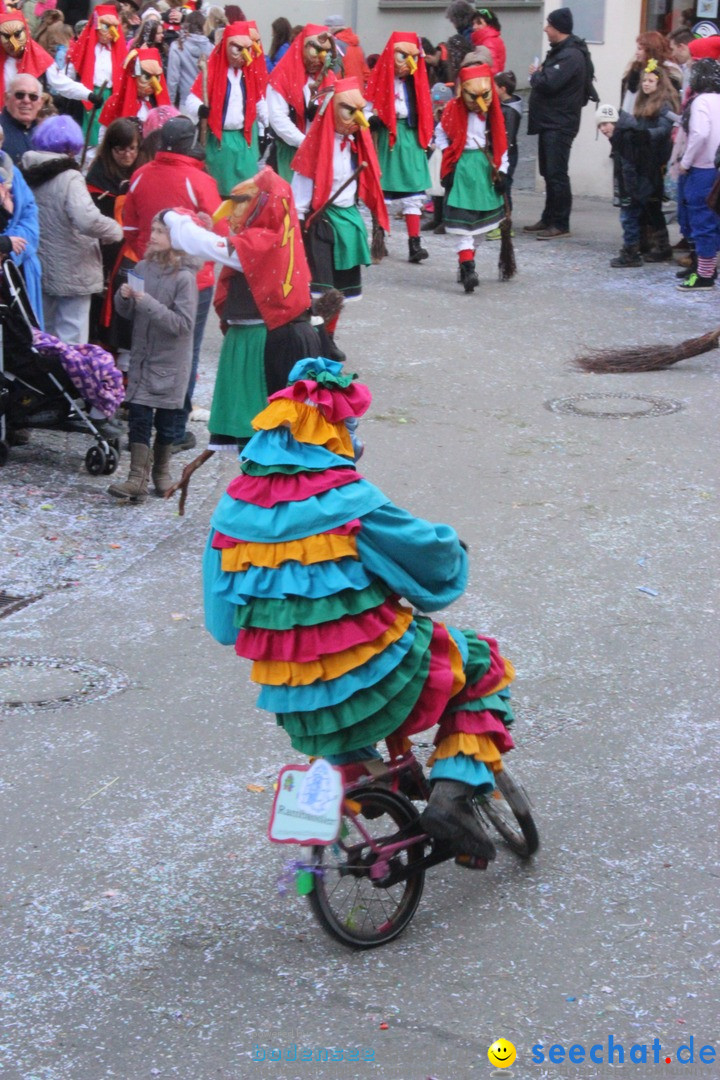 Rosenmontags-Umzug: Ravensburg am Bodensee, 08.02.2016