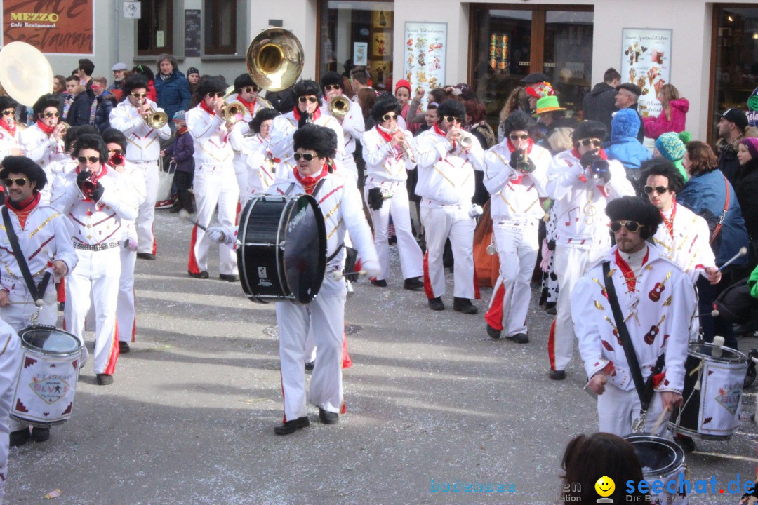 Rosenmontags-Umzug: Ravensburg am Bodensee, 08.02.2016