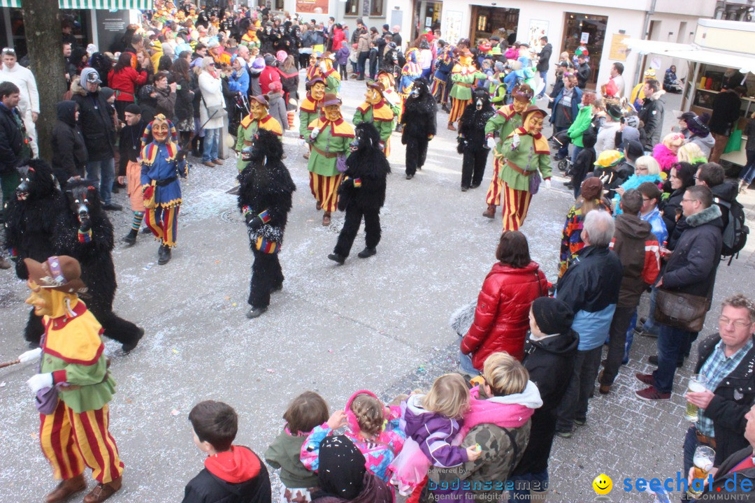 Rosenmontags-Umzug: Ravensburg am Bodensee, 08.02.2016