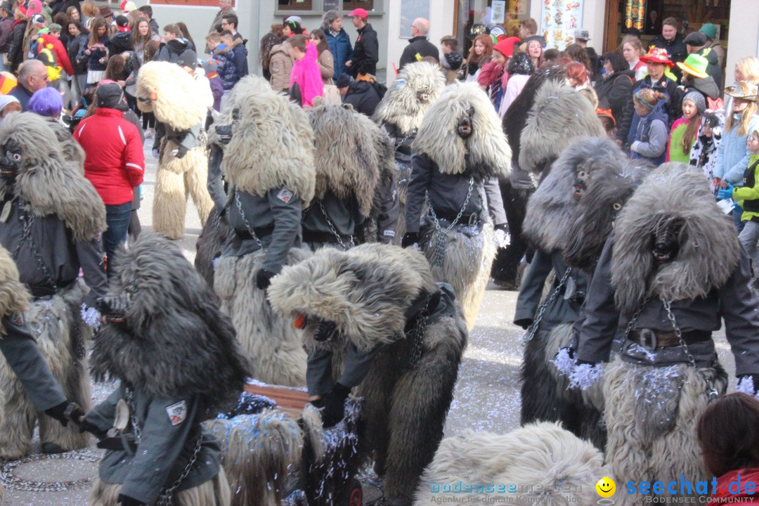 Rosenmontags-Umzug: Ravensburg am Bodensee, 08.02.2016