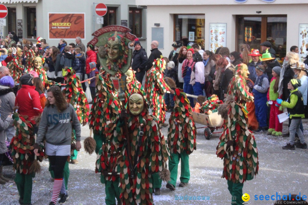 Rosenmontags-Umzug: Ravensburg am Bodensee, 08.02.2016