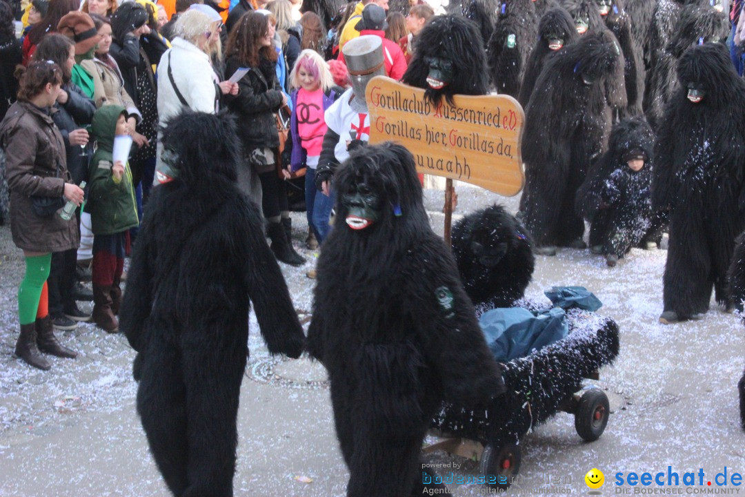 Rosenmontags-Umzug: Ravensburg am Bodensee, 08.02.2016