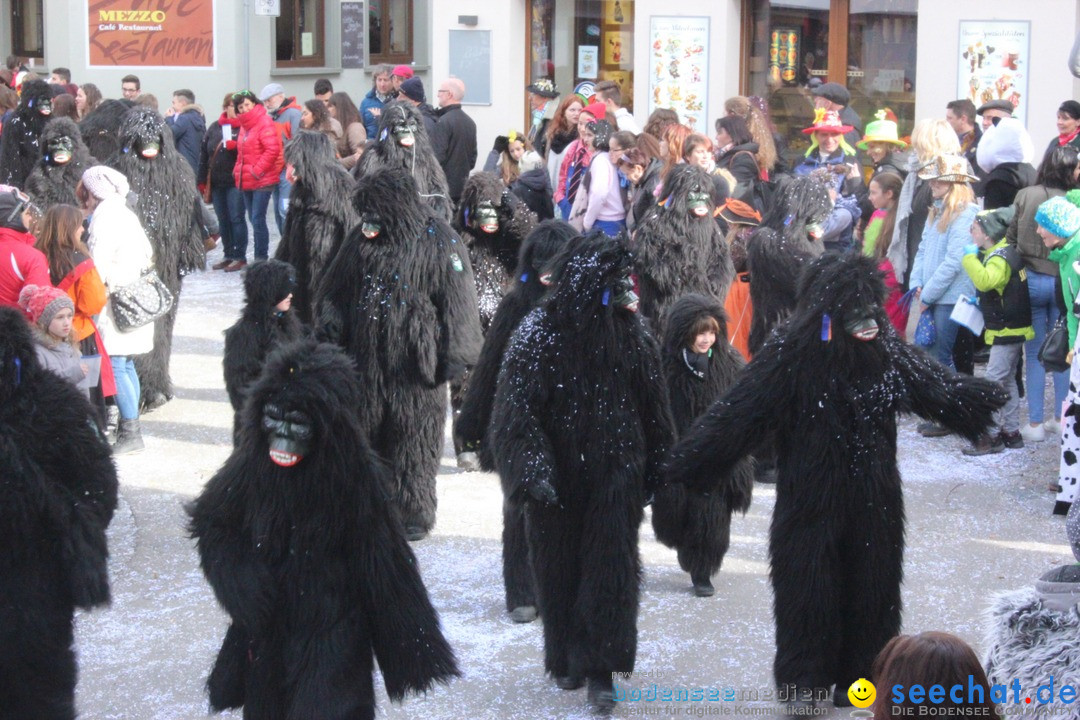 Rosenmontags-Umzug: Ravensburg am Bodensee, 08.02.2016