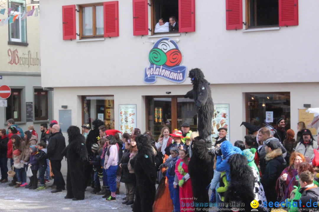 Rosenmontags-Umzug: Ravensburg am Bodensee, 08.02.2016