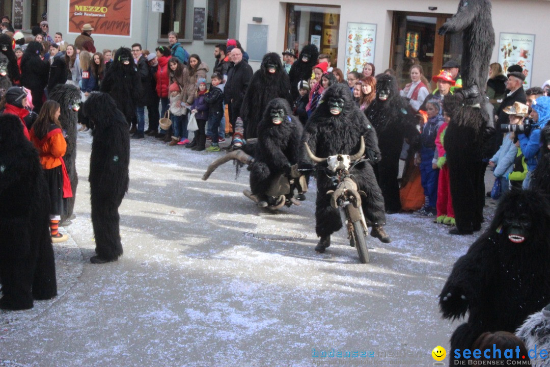 Rosenmontags-Umzug: Ravensburg am Bodensee, 08.02.2016