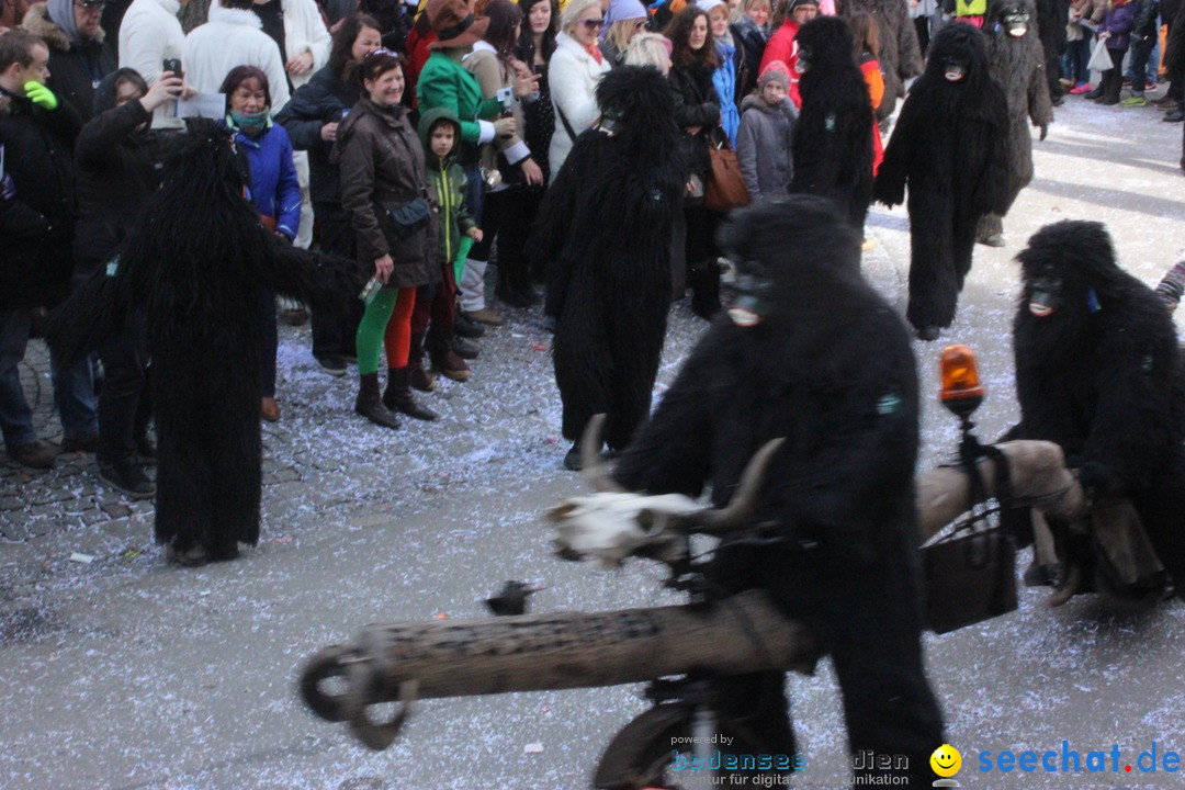 Rosenmontags-Umzug: Ravensburg am Bodensee, 08.02.2016