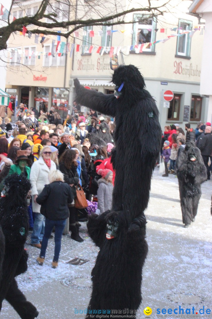 Rosenmontags-Umzug: Ravensburg am Bodensee, 08.02.2016