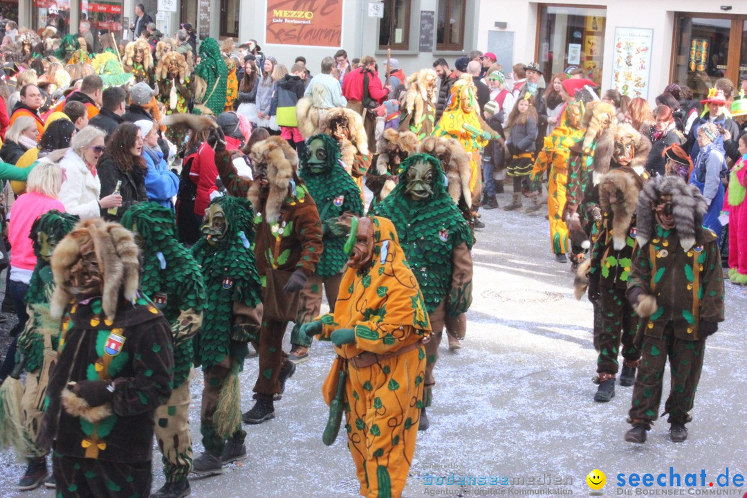 Rosenmontags-Umzug: Ravensburg am Bodensee, 08.02.2016