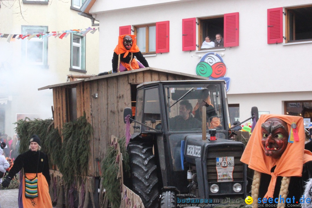 Rosenmontags-Umzug: Ravensburg am Bodensee, 08.02.2016