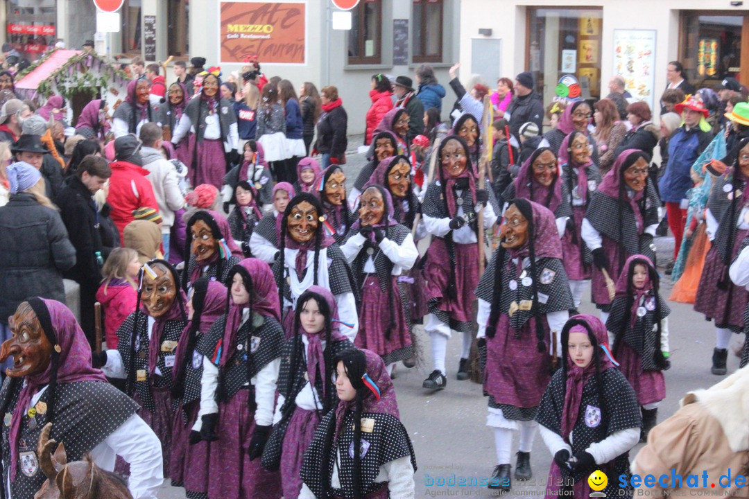 Rosenmontags-Umzug: Ravensburg am Bodensee, 08.02.2016