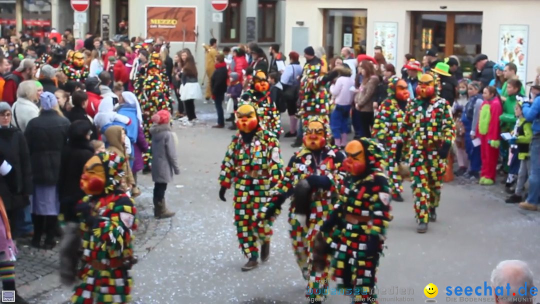 Rosenmontags-Umzug: Ravensburg am Bodensee, 08.02.2016