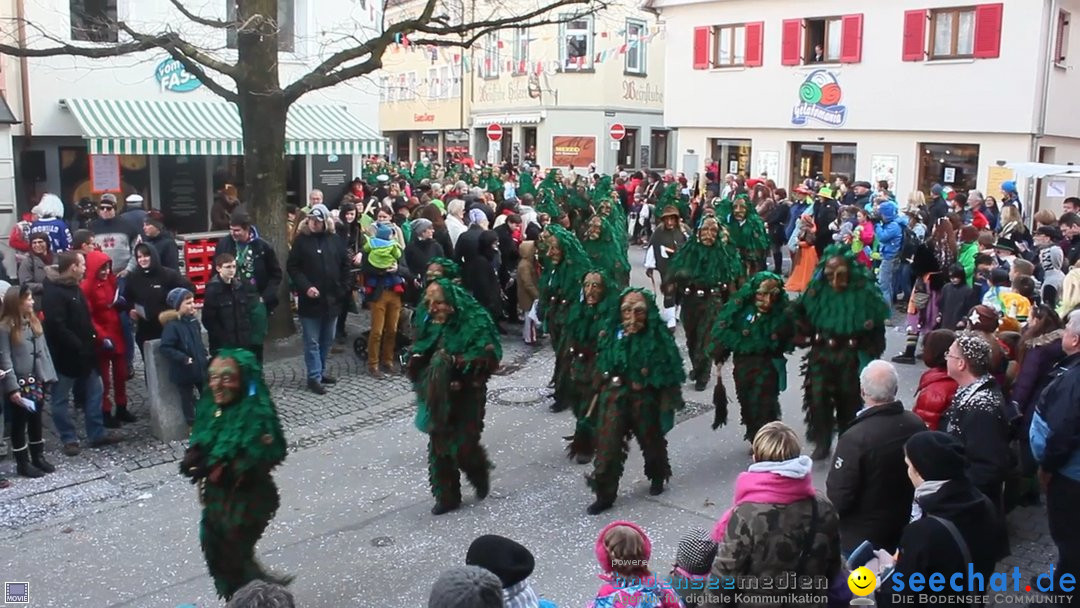 Rosenmontags-Umzug: Ravensburg am Bodensee, 08.02.2016