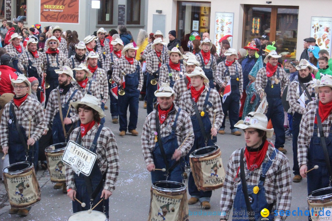 Rosenmontags-Umzug: Ravensburg am Bodensee, 08.02.2016