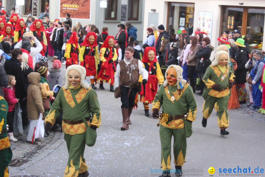 Rosenmontags-Umzug: Ravensburg am Bodensee, 08.02.2016