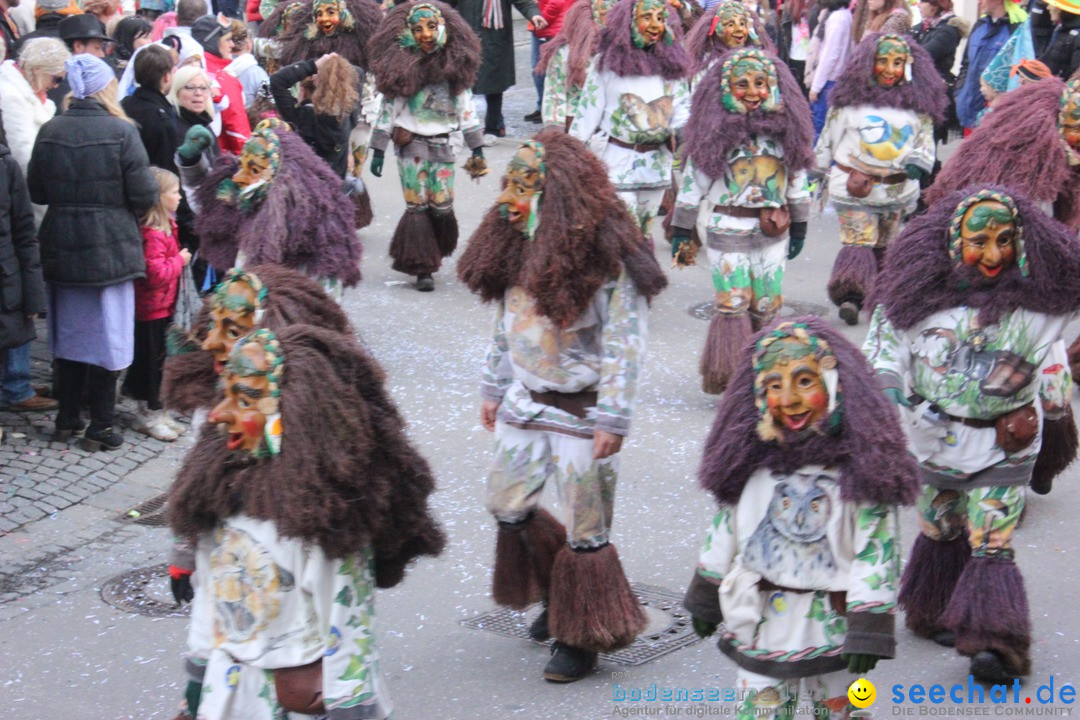 Rosenmontags-Umzug: Ravensburg am Bodensee, 08.02.2016