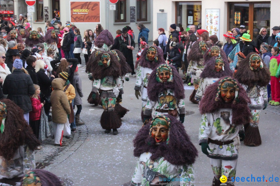 Rosenmontags-Umzug: Ravensburg am Bodensee, 08.02.2016